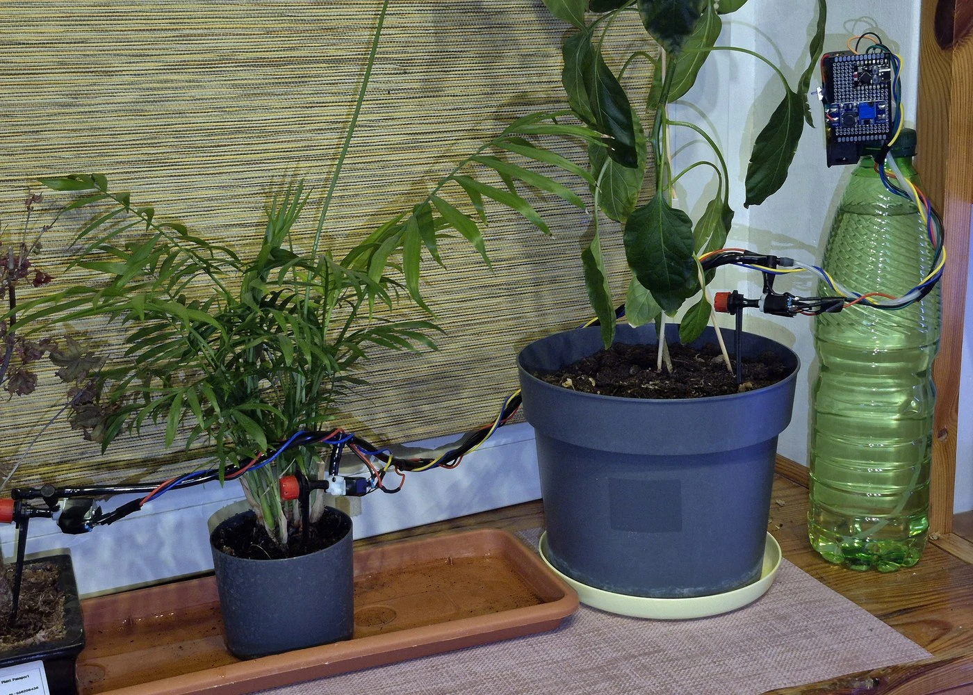 Automated watering test setup